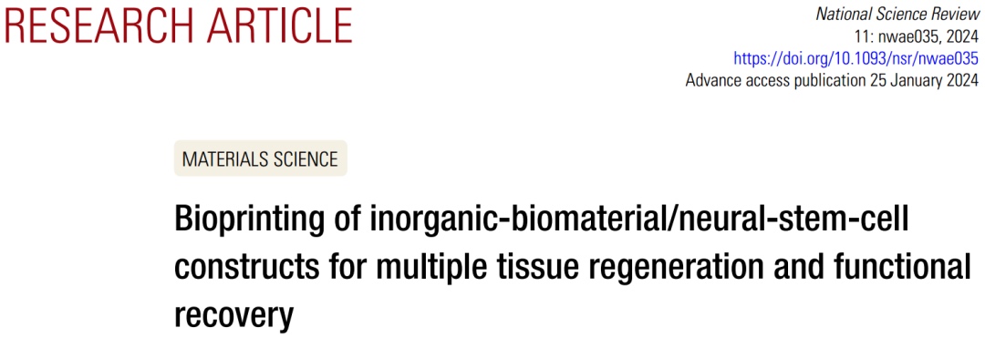 3D打印無機生物材料 神經(jīng)干細(xì)胞構(gòu)建體推動組織再生與功能恢復(fù)