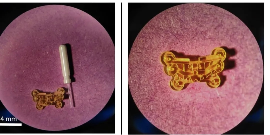 3D打印技術開啟神經科學研究的新紀元  
